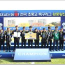 서울월드컵경기장보조경기장 Daum카페
