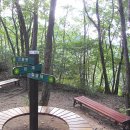 보은여인숙 | 백두대간 [10th] 화령-봉황산-갈령삼거리... 친구야 미안하다.