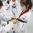 세종태권도장 이미지