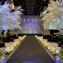 호텔탑스텐 이미지