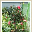 경화어린이집 이미지