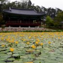 울진 구산어촌체험마을 이미지