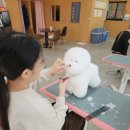 꿈의 애견미용 이미지