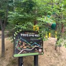 여헌로-4 | 구미 아기랑 가볼만한곳 천생산성 유아숲놀이터 주말 나들이 후기