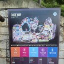 골드오션 | 골드시즌 비발디 오션월드 알차게 다녀온 후기. 썬베드 위치부터 할인팁까지.