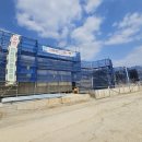 청광 비즈한국