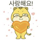 파운데이풍암점