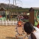 에코새싹유치원 이미지