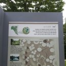 교하중학교 | 파주 교하 볼거리 7개국 정원 무료문화체험학습 '파주중앙공원(교하중앙공원)' 솔직후기: 지도,안내도 있음