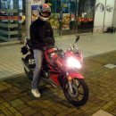 스펀지 게임랜드 이미지