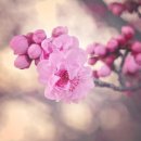 인생여행 이미지