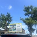 더 샾 민박 | 강원도 고성 송지호 해수욕장🏖 ｜여름 바다 여행, 주차·시설·물놀이 정보