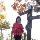 선학공원 이미지