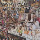 평택농협북부지점 | [평택] 국제중앙시장 숨은 보석 같은 소품샵 알파카(ALPACA) 내돈내산 후기