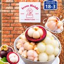 읍성로 | 창원 빙수맛집 트랜디한 디저트카페 데이트하기 좋은 프롬하이디 망고스틴빙수 후기