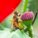 용수골농장 이미지