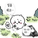 섬강로L | 여름의 시작