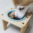 펫마마스푸드 이미지