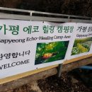 도장골낚시터 | [가평 에코힐링 캠핑장] 나무들 속에서 지대로 힐링 하고 왔습니다..