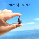 비다쭈꾸미 이미지