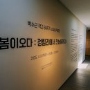 박수근미술관 1관 이미지