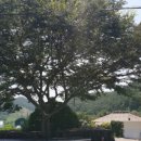 우동경로당 이미지