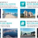 청일이용 이미지