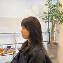 커티즘바이 이미지