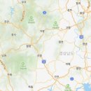 첼리와비올라 이미지