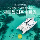 세이셸 여행 리프 사파리 후기, 스노클링 천국을 만나다