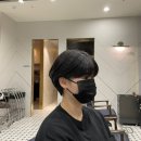 컬러리프 이미지