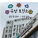 구암동177 | [임신 준비] 유성보건소 임신전 검사 / 산전검사 후기