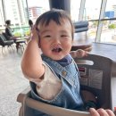 9개월아기 후기이유식 죽이유식 퍼기 이유식 밥솥 칸막이