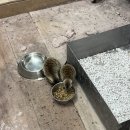 민카페 | 홍대 동물카페 zoo민센터 방문 후기!