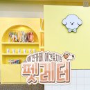 애견카페 애견유치원 펫레터 이미지