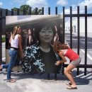 웰빙요리 이미지