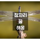 H0907 이미지