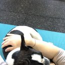 강토 이미지