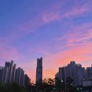나비드뷰티 이미지