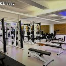 머슬팩토리 easy 이미지