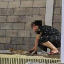 하양회타운 | [일상글] 늦여름-초가을