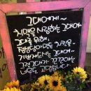 꼬꼬야옛날통닭