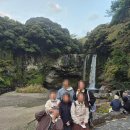 대절농장 | 제주도 가족 단체여행 차량대절 쉽게 하는 방법!