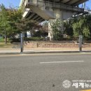 저단12 이미지