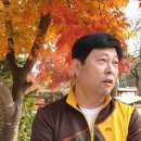 대부장 이미지