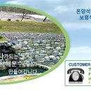 서해운수