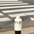 커피킹일산