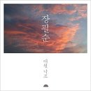 애월 밤별 이미지