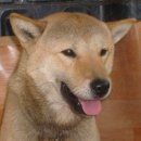 참진축산 이미지