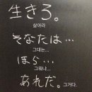 파티파티아이스 이미지